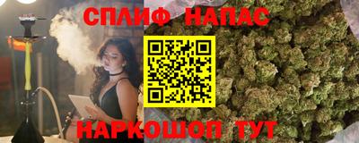 бошки Моздок