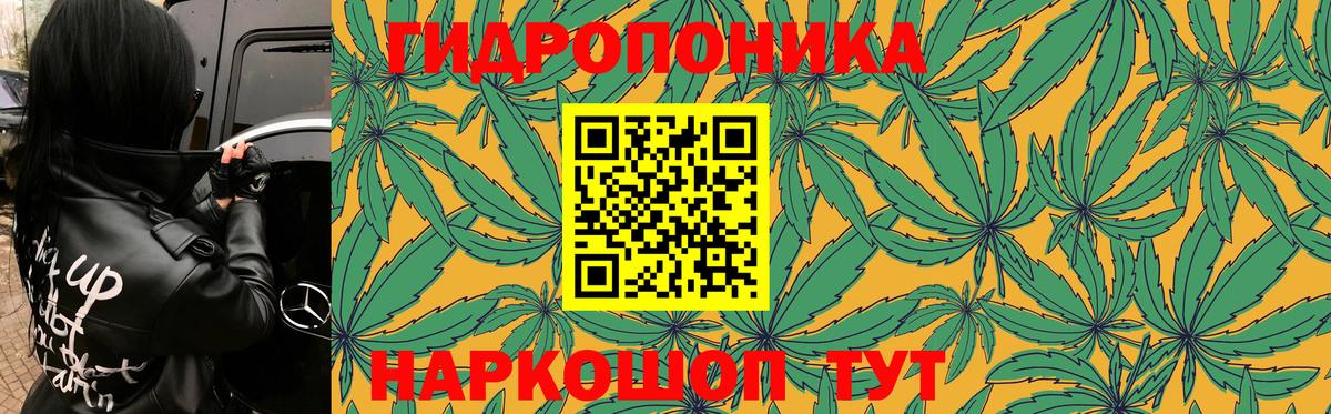 Каннабис Bruce Banner  Вход с VPN  Бошки Шишки THC 21%  Конопля марихуана  Уварово 